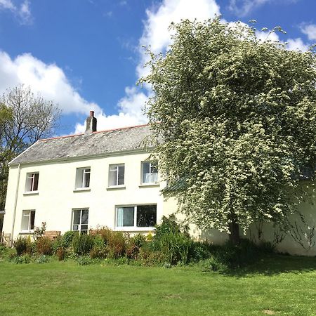 Marsh Cottage South Molton Eksteriør billede